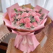 花束 粉康乃馨 B202