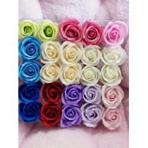單支袋裝 S182