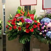 開張花籃 紅色 0142