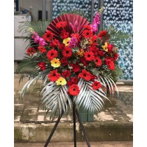 開張花籃 紅色太陽花玫瑰  0123