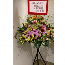 開張花籃 蘭花百合 0132