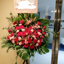 開張花籃 桃紅玫瑰百合 G208