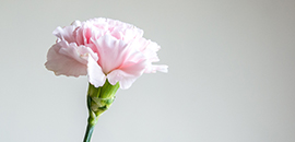 banner-aside