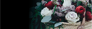 banner-2