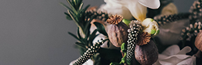 banner-3