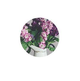 花店 Bouquet花束 花籃 網上訂花 香港花禮品 Kim Flower